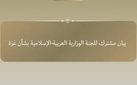 اللجنة العربية الإسلامية تؤكد على ضرورة وقف إطلاق النار بشكل فوري في غزة