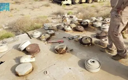 مشروع مسام ينجح في نزع 767 لغما أرضيا في اليمن خلال أسبوع واحد