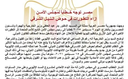 مصر تطالب مجلس الأمن بالتدخل لحماية مصالحها في حوض النيل الشرقي والسد الإثيوبي