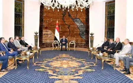 الرئيس السيسي يرحب بوزير خارجية إيران ومدير الوكالة الدولية للطاقة الذرية في زيارة هامة