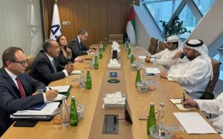 وزير الخارجية يعقد اجتماعًا هامًا مع وزير الاستثمار في الإمارات العربية المتحدة