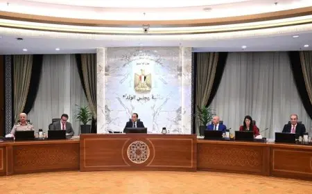 الوزراء يوافقون على تمديد فترة توفيق وتقنين إقامة الأجانب في البلاد