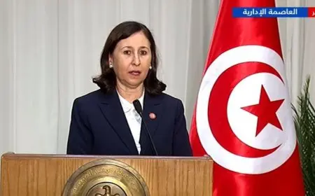 مصر وتونس تؤكدان موقفهما الراسخ ضد تهجير الفلسطينيين