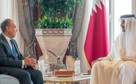 وزير الخارجية يسلم أمير قطر رسالة تضامن ودعم خاصة من الرئيس السيسي