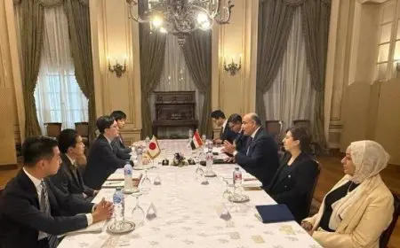 مصر واليابان تعقدان الجولة الأولى من الحوار الثنائي بشأن الملفات القانونية