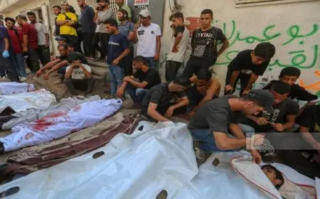 حصيلة شهداء العدوان الإسرائيلي على غزة تتجاوز 64756 شهيدا