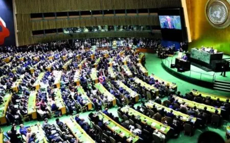 فلسطين تعبر عن ترحيبها بتصويت الجمعية العامة لصالح قرار إعلان نيويورك لحل الدولتين