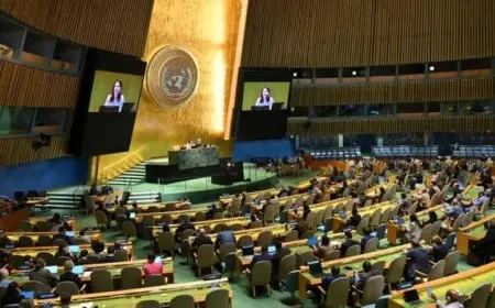 البرلمان العربي يثمن قرار الأمم المتحدة بشأن حل الدولتين لتعزيز السلام والأمن في المنطقة