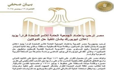 مصر تؤكد دعمها لقرار الجمعية العامة للأمم المتحدة بشأن تنفيذ حل الدولتين