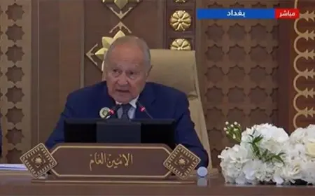 أبو الغيط يشيد بموافقة الجمعية العامة على مشروع قرار حل الدولتين