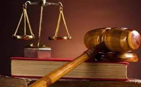 محاكمة 13 متهما في قضية خلية داعش كرداسة الثانية اليوم