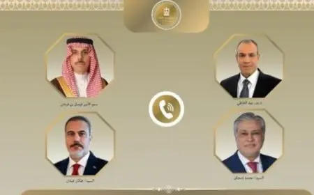وزير الخارجية يعقد اتصالات مكثفة مع نظرائه في السعودية وباكستان وتركيا لتعزيز التعاون الدولي