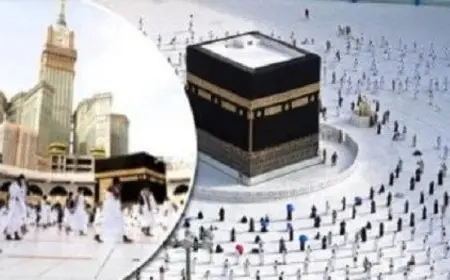 غرفة السياحة تكشف عن أسماء الكيانات غير القانونية وتقدم شكاوى قانونية ضدها