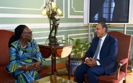 عبد العاطي يناقش مع وزيرة العلاقات الدولية في ناميبيا سبل تعزيز التعاون الثنائي