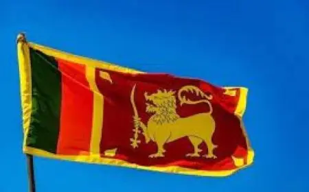 سريلانكا تدعم قرار الجمعية العامة للأمم المتحدة حول تحقيق حل الدولتين