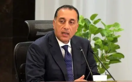 مدبولي يقوم بجولة تفقدية في الممشى السياحي استعدادا لافتتاح المتحف المصري الكبير