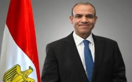 وزير الخارجية يؤكد أن مصر تعاني من تحديات استراتيجية غير مسبوقة من جميع الاتجاهات