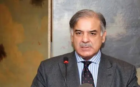 رئيس الوزراء الباكستاني يشارك في قمة الدوحة لبحث العدوان الإسرائيلي وتأثيراته على المنطقة