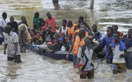 فيضانات النيجر تؤثر على أكثر من 246 ألف شخص وتحدث خسائر كبيرة