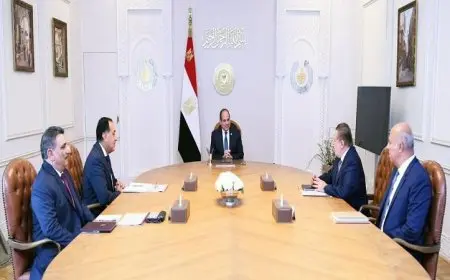 الرئيس السيسى يعزز الاستثمارات من خلال التعاون مع شركتى سكاتك وصنجرو