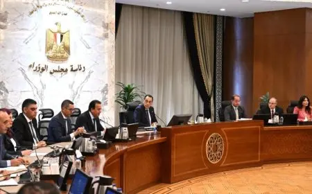 رئيس الوزراء يضع خطة شاملة لتأمين الأدوية والمستلزمات الطبية للمواطنين