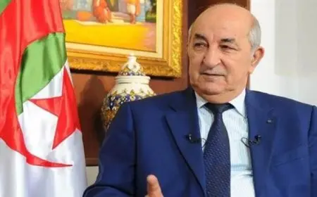 الرئيس الجزائري يعين سيفي غريب لتشكيل حكومة جديدة في خطوة هامة نحو التغيير