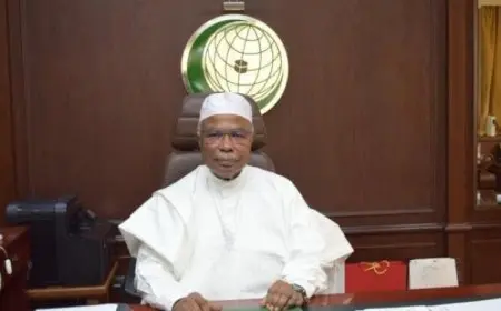 أمين عام منظمة التعاون الإسلامي يدعو إلى إجراءات حاسمة ضد تصرفات إسرائيل