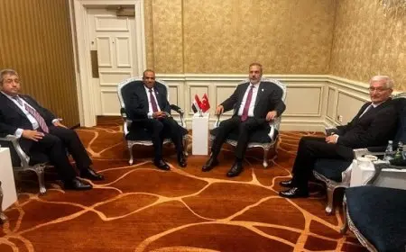 وزير الخارجية ونظيره التركي يشددان على أهمية إنهاء الحرب الإسرائيلية على غزة