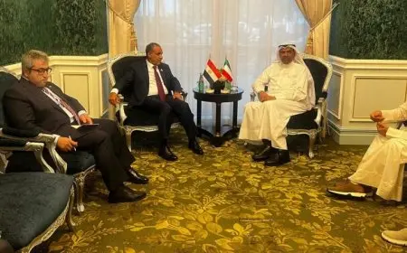 عبد العاطي ونظيره الكويتي يؤكدان ضرورة الدفاع عن سيادة الدول العربية ضد أي اعتداءات