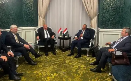 عبد العاطي ونظيره العراقي يدينان جرائم إسرائيل ضد الفلسطينيين بشكل قوي