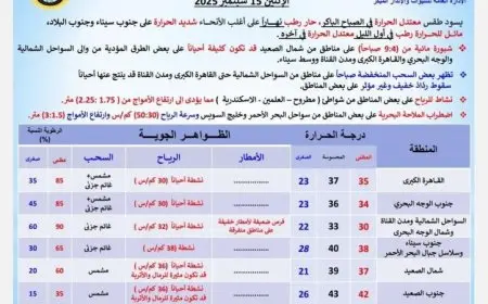 حالة الطقس اليوم في القاهرة حار نهاراً ومعتدل ليلاً مع درجة حرارة قصوى تصل إلى 35 درجة