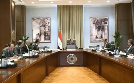 مدبولي يؤكد على أهمية الاستفادة من خبرات وإمكانات القطاع الخاص لتحسين خدمات الصحة