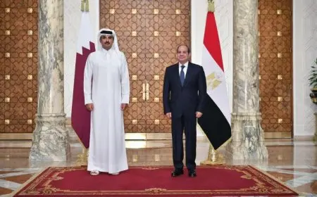 السيسي وأمير قطر يسلطان الضوء على ضرورة تطوير رؤية مشتركة لتعزيز العمل العربي الجماعي