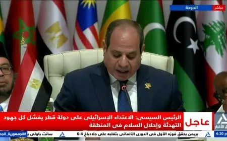 السيسي يندد بسلوك إسرائيل المنفلت وتأثيره السلبي على الاستقرار الإقليمي