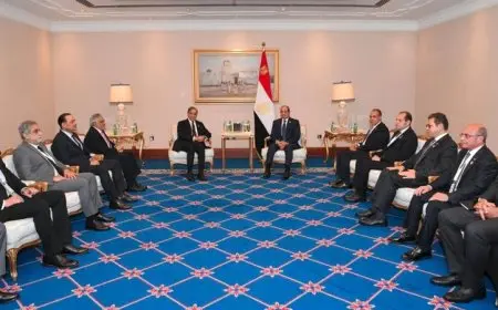 الرئيس السيسي يعبر عن تعازيه لحكومة وشعب باكستان في ضحايا كارثة الفيضانات