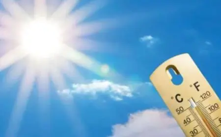 الأرصاد الجوية تحذر من طقس حار رطب غداً مع تحول الأجواء لمعتدلة في المساء