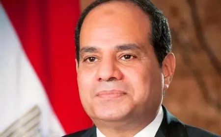 الرئيس السيسي يحذر من تجاوز الممارسات الإسرائيلية لكل الخطوط الحمراء