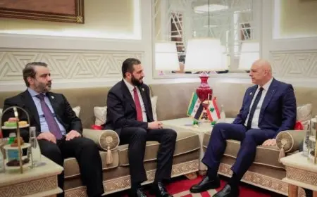 الرئيس اللبناني والرئيس السوري يناقشان تعزيز العلاقات الثنائية ووسائل تحسينها