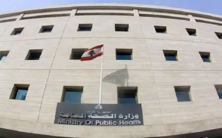 صحة لبنان تكشف عن إصابة 8 مواطنين نتيجة الغارة الإسرائيلية على كسار زعتر