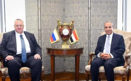 وزير الخارجية يعبر عن فخر مصر بعلاقاتها القوية مع روسيا