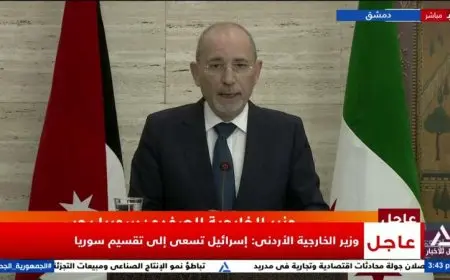 الصفدي يحذر من مخطط إسرائيل لزرع الفتنة وتقسيم سوريا