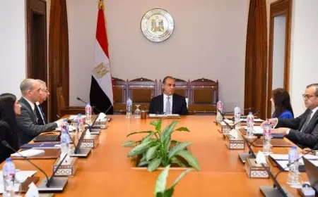 وزير الخارجية يناقش مستقبل التعاون مع قيادات الوكالة المصرية للشراكة من أجل التنمية