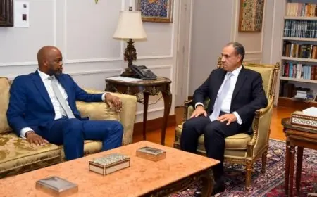 وزير الخارجية يجتمع مع سكرتير عام منطقة التجارة الحرة الأفريقية لتعزيز التعاون الاقتصادي