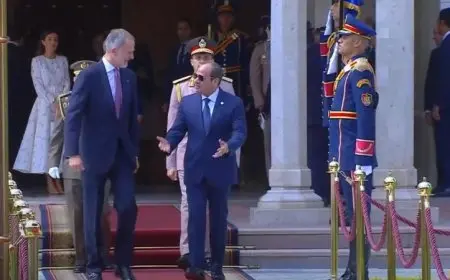 الرئيس السيسي يثني على دعم إسبانيا للسلام العادل في المنطقة