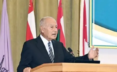 أبو الغيط ينبه إلى عواقب وخيمة جراء الهجوم الإسرائيلي على مدينة غزة