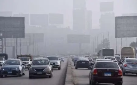 طقس اليوم في القاهرة حار نهارا مع تحذيرات من الشبورة والعظمى تصل إلى 34 درجة