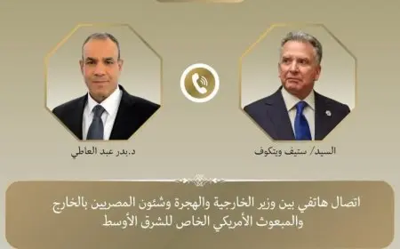 وزير الخارجية يؤكد رفض تهجير الفلسطينيين من أراضيهم