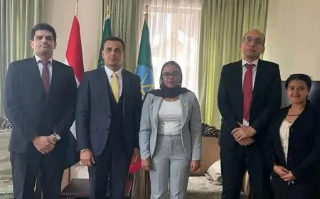 سفير مصر الجديد في أديس أبابا يسلم أوراق اعتماده رسمياً