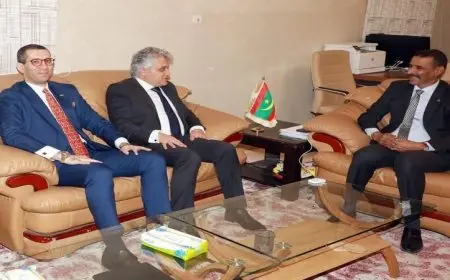 موريتانيا تعزز دعمها للمرشح المصري لرئاسة منظمة اليونسكو