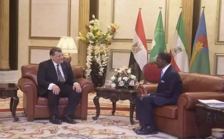 سفير مصر الجديد في مالابو يسلم أوراق اعتماده لرئيس غينيا الاستوائية